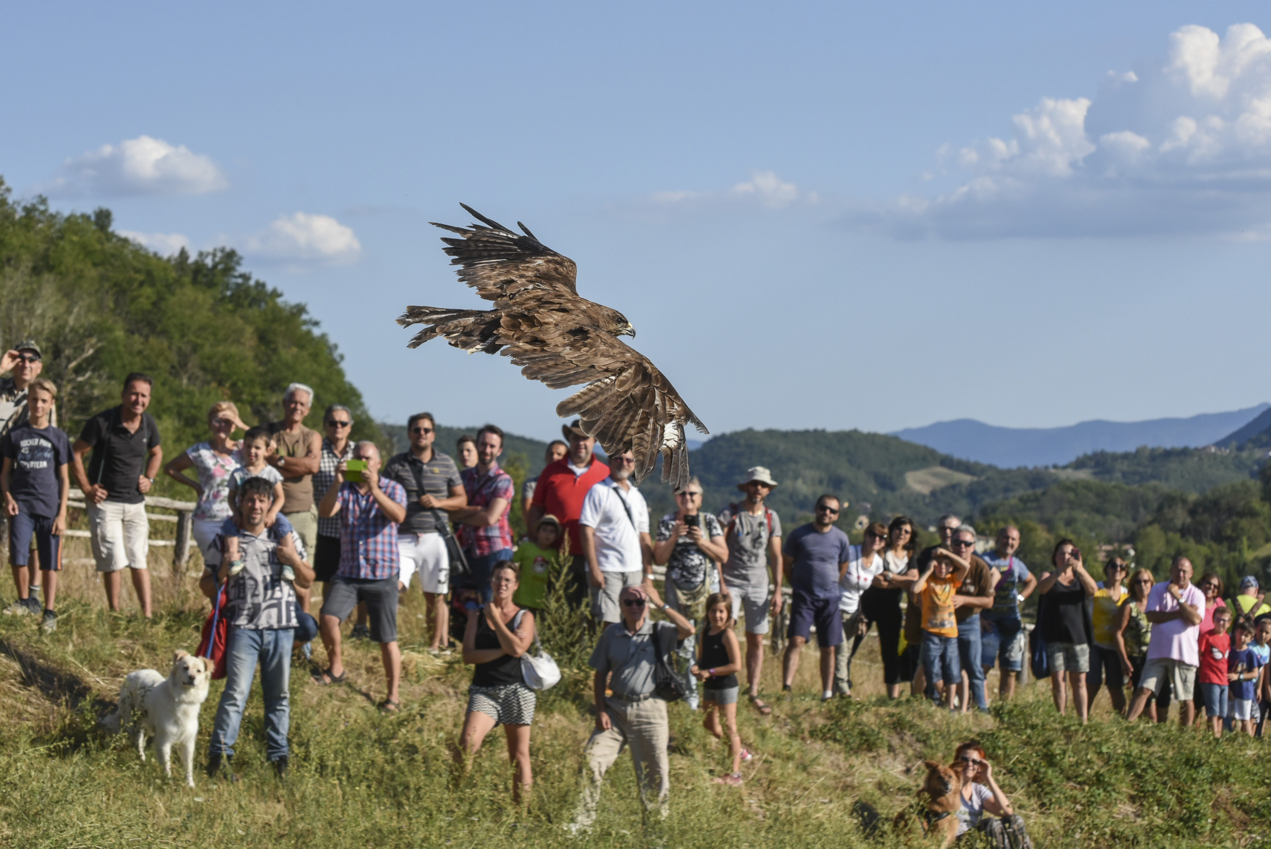 15 Agosto 2019 – ore 17.00 LA GRANDE FUGA – presso Museo della Castagna loc. San Giacomo Zocca