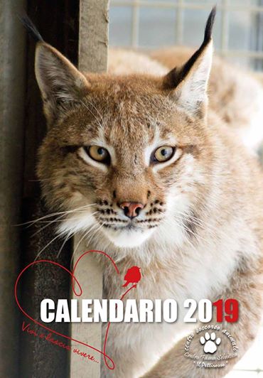 CALENDARIO 2019