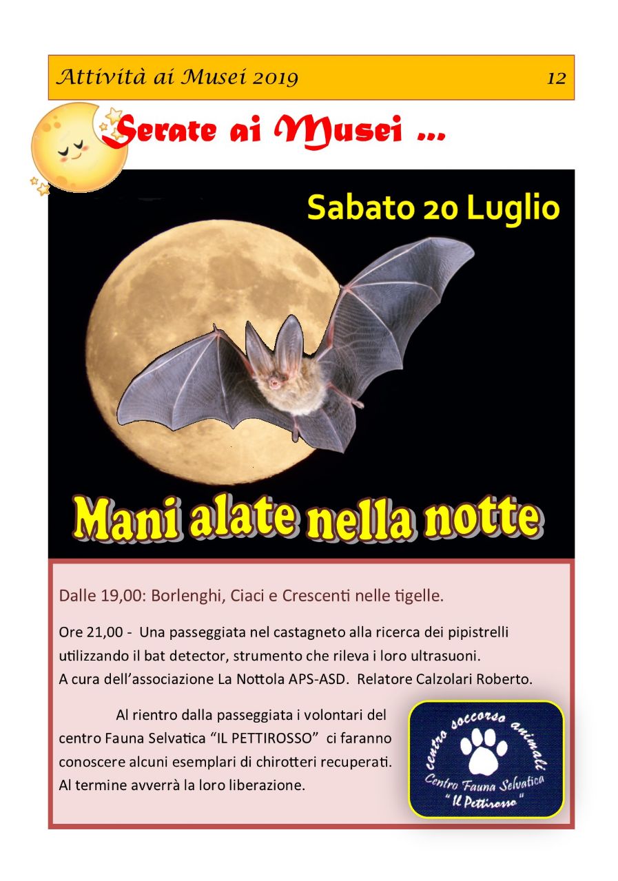 20 Luglio 2019 al Museo della Castagna S.Giacomo di Zocca ore 21.00 circa