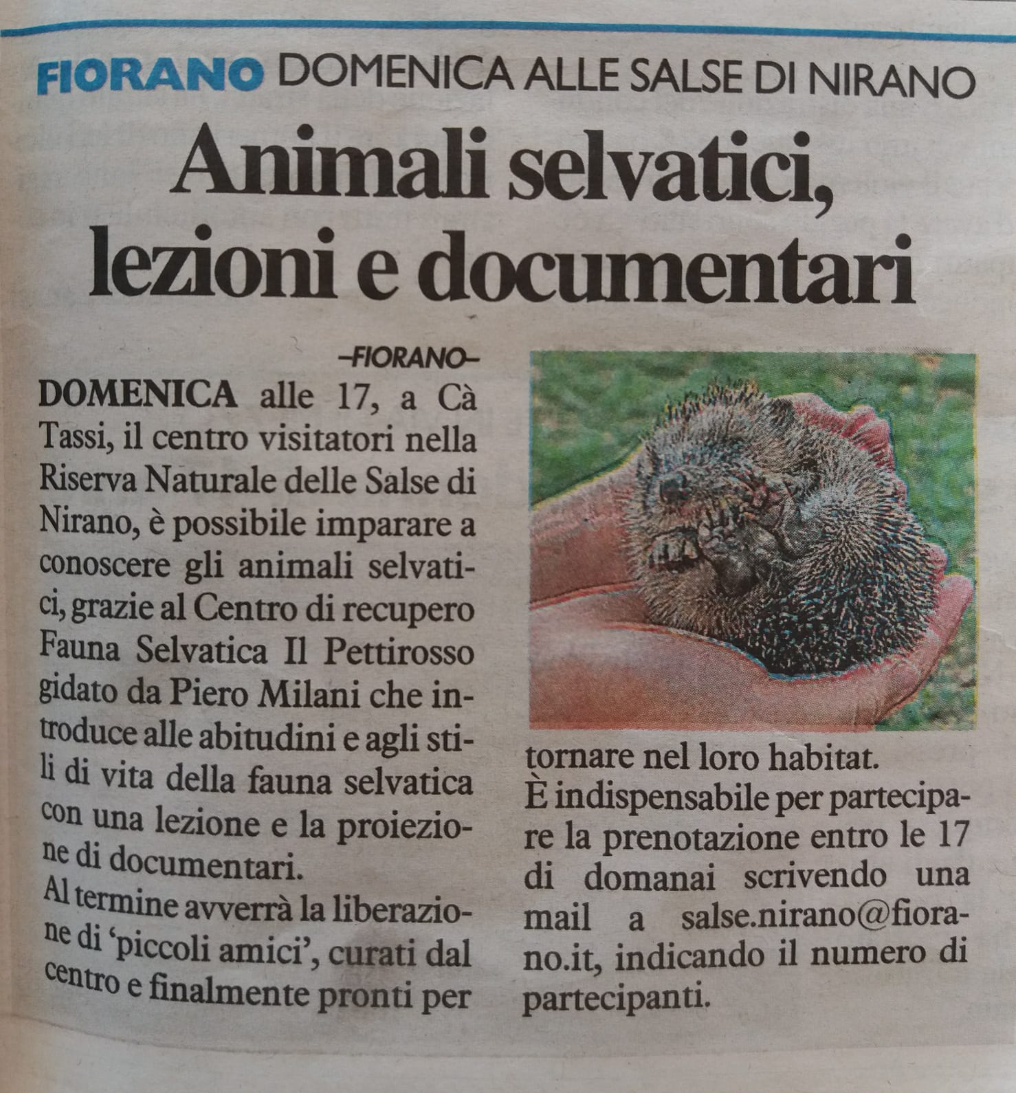 Domenica 28 Luglio 2019 “ANIMALI SELVATICI E DOCUMENTARI – ORE 17.00 a Cà Tassi