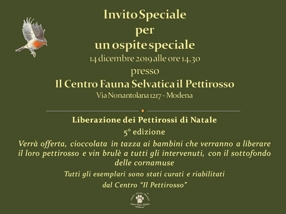 14 Dicembre 2019 – ore 14.30 liberazione dei pettirossi