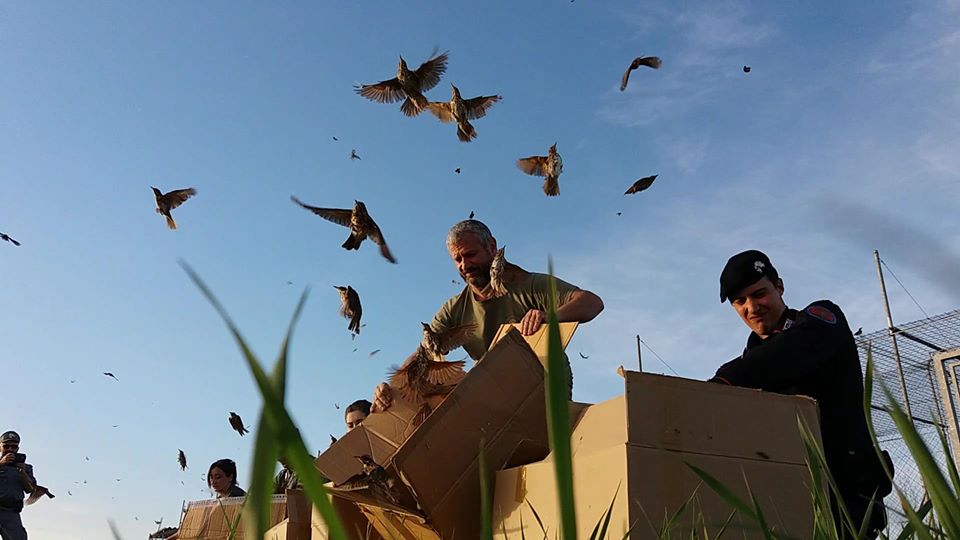 25 Aprile 2020 Festa della liberazione al Pettirosso