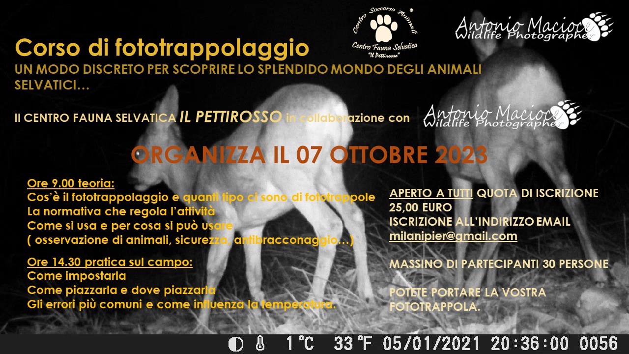 7 Ottobre – Corso di fototrappolaggio