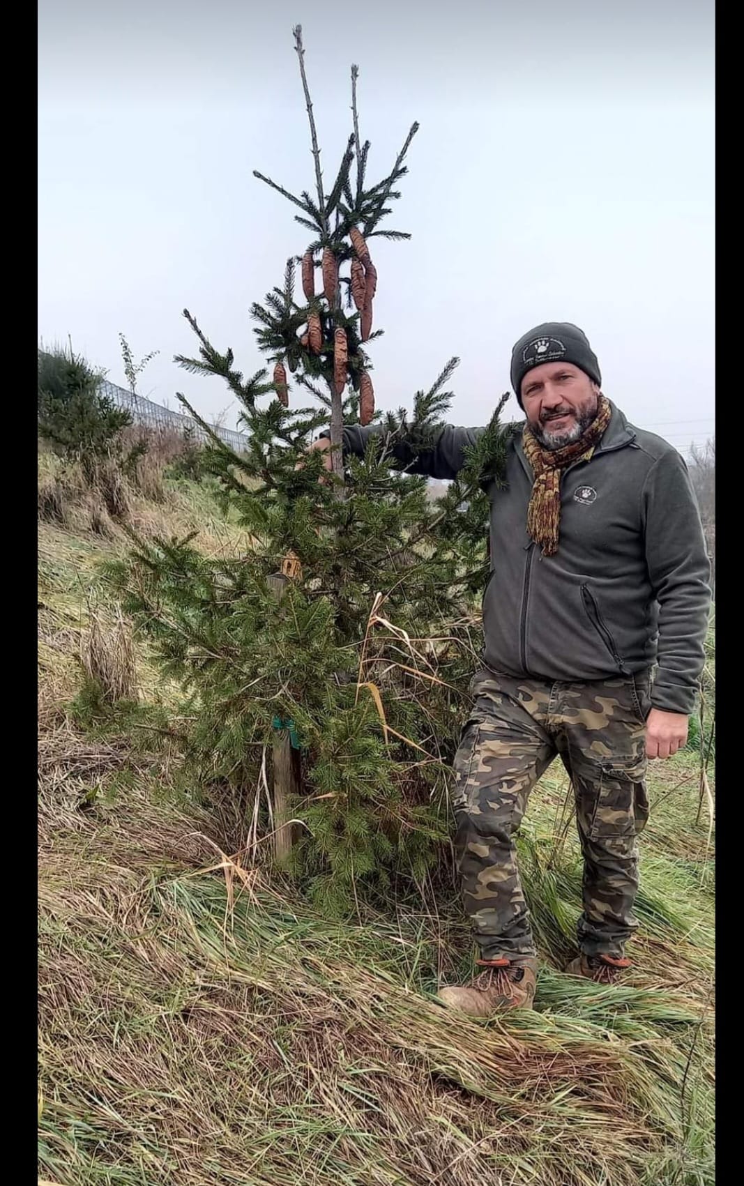 Diamo una seconda possibilità all’albero di Natale